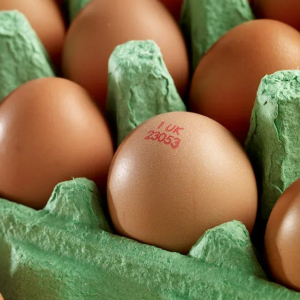 Trazabilidad Alimentaria